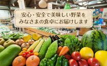 あぐりん村の新鮮野菜宅配BOX　クール便配送期間