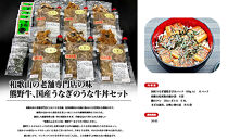 和歌山の老舗専門店の味、熊野牛、国産うなぎのうな牛丼セットB【MT3】