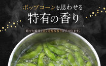 先行予約【新潟県産】くろさき茶豆　【１.５ｋｇ】　2026年8月～順次発送　新潟　新潟県　枝豆　えだまめ　茶豆　おつまみ　お取り寄せ　グルメ　1.5kg　豆
