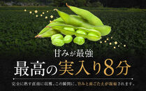 先行予約【新潟県産】くろさき茶豆　【１.５ｋｇ】　2026年8月～順次発送　新潟　新潟県　枝豆　えだまめ　茶豆　おつまみ　お取り寄せ　グルメ　1.5kg　豆