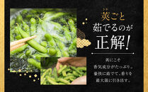 先行予約【新潟県産】くろさき茶豆　【１.５ｋｇ】　2026年8月～順次発送　新潟　新潟県　枝豆　えだまめ　茶豆　おつまみ　お取り寄せ　グルメ　1.5kg　豆
