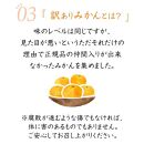 早生みかん7kg(大玉２L・３Lサイズおまかせ) 《ご家庭用》ちょっと訳あり 和歌山県より農園直送！まごころ産直みかん【北海道・沖縄県・一部離島 配送不可】大きい 蜜柑 温州みかん わけあり 訳アリ