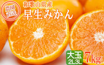 早生みかん&nbsp;約7kg&nbsp;大玉&nbsp;2L・3Lサイズおまかせ&nbsp;《ご家庭用》&nbsp;ちょっと訳あり&nbsp;和歌山県産&nbsp;農園直送&nbsp;まごころ産直みかん&nbsp;【北海道・沖縄県・一部離島&nbsp;配送不可】大きい&nbsp;蜜柑&nbsp;温州みかん&nbsp;わけあり&nbsp;訳アリ［Mg50］