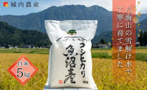 【令和８年産新米予約】&nbsp;南魚沼産コシヒカリ　白米５ｋｇ【５割減農薬栽培米】&nbsp;城内農産&nbsp;【銘柄米&nbsp;ブランド米&nbsp;精米&nbsp;こしひかり&nbsp;コシヒカリ&nbsp;魚沼産&nbsp;新潟米&nbsp;産地直送&nbsp;お米&nbsp;米&nbsp;こめ】【2026年9月下旬から1ヶ月以内に順次発送予定】