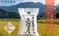 【令和6年産新米予約】南魚沼産コシヒカリ 無洗米５ｋｇ 【５割減農薬栽培米】 城内農産