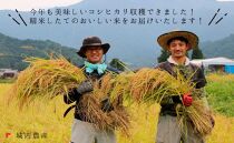 令和５年度 南魚沼産コシヒカリ 無洗米１０ｋｇ 【５割減農薬栽培米】 城内農産