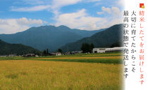 【令和７年産&nbsp;】【お米定期便/全１２回】南魚沼産コシヒカリ　白米５ｋｇ＜５割減農薬栽培米＞城内農産