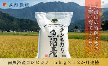 【令和８年産新米予約】【お米定期便/全１２回】南魚沼産コシヒカリ　白米５ｋｇ＜５割減農薬栽培米＞城内農産【定期便&nbsp;銘柄米&nbsp;ブランド米&nbsp;精米&nbsp;こしひかり&nbsp;コシヒカリ&nbsp;魚沼産&nbsp;新潟米】【2026年9月下旬から1ヶ月以内に順次発送予定】