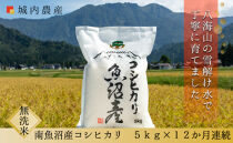 【令和８年産新米予約】【お米定期便/全１２回】南魚沼産コシヒカリ　無洗米５ｋｇ＜５割減農薬栽培米＞城内農産【定期便&nbsp;銘柄米&nbsp;ブランド米&nbsp;無洗米&nbsp;こしひかり&nbsp;コシヒカリ&nbsp;魚沼産&nbsp;新潟米】【2026年9月下旬から1ヶ月以内に順次発送予定】