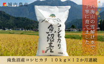 【令和７年産】【お米定期便/全１２回】南魚沼産コシヒカリ　白米１０ｋｇ＜５割減農薬栽培米＞城内農産