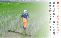 【令和７年産】【お米定期便/全１２回】南魚沼産コシヒカリ　白米１０ｋｇ＜５割減農薬栽培米＞城内農産