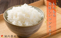 【令和７年産】【お米定期便/全１２回】南魚沼産コシヒカリ　白米１０ｋｇ＜５割減農薬栽培米＞城内農産