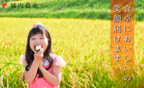 【令和７年産】【お米定期便/全１２回】南魚沼産コシヒカリ　白米１０ｋｇ＜５割減農薬栽培米＞城内農産