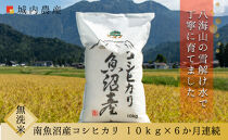 【令和８年産新米予約】【お米定期便/全６回】南魚沼産コシヒカリ　無洗米１０ｋｇ&nbsp;＜５割減農薬栽培米＞城内農産【定期便&nbsp;銘柄米&nbsp;ブランド米&nbsp;無洗米&nbsp;こしひかり&nbsp;コシヒカリ&nbsp;魚沼産&nbsp;新潟米】【2026年9月下旬から1ヶ月以内に順次発送予定】