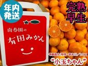 年内発送 完熟早生 有田みかん 小玉ちゃん 等級混合 2.2 kg