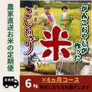 【特別栽培米】6か月定期便　がんこおやじが作った南魚沼産コシヒカリ白米６kg（３kg×２袋）