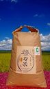 【思いやり型返礼品】ピロール農法體力米（たいりょくまい）コシヒカリ玄米10㎏