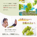 紀州有田産シャインマスカット　約2kg【先行予約】【2025年8月下旬以降発送予定】