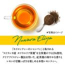 【キリン】午後の紅茶 レモンティー 500mlペットボトル×24本（1ケース）