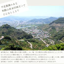 農家直送！有田みかん（10kg&nbsp;訳あり≪サイズ混合≫）平武農園　～蛍飛ぶ町から旬の便り～