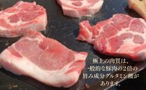 【北島麦豚】カツ肩ロース 8枚 豚肉 ギフト 北海道【ポイント交換専用】