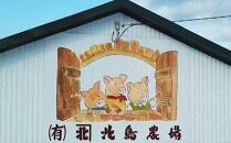 【北島麦豚】カツロース 8枚 豚肉 ギフト 北海道【ポイント交換専用】