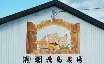 【北島麦豚】ロースブロック丸ごと 2kg 豚肉 北海道【ポイント交換専用】