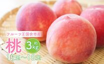 フルーツ王国余市産「桃」 12 玉～18玉 3kg【ニトリ観光果樹園】