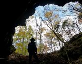(3)青木ケ原樹海の３ケ所の天然洞窟とディープな樹海散策５時間コース【大人２名様分体験チケット】