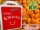 マルチ栽培 有田 みかん 小玉ちゃん 等級混合 2.2kg 南泰園