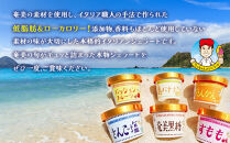 奄美の恵みdeイタリアンジェラート（6個入り）