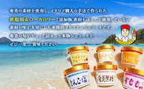 奄美の恵みdeイタリアンジェラート（12個入り）