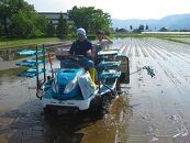 【頒布会】南魚沼産（しおざわ）こしひかり8割減農薬米、精米１０Kg×12回