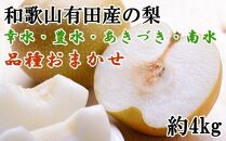 【産直】和歌山有田産の梨約4kg（品種おまかせ）