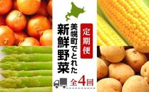 【定期便】先行予約 美幌町でとれた新鮮野菜～全４回～　2022年3月発送開始予定