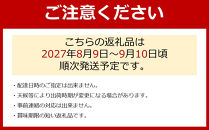 ［先行予約］［数量限定］希少なぶどう「BKシードレス」約1.5kg★2027年8月上旬頃より順次発送
