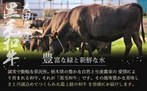 大田原産&nbsp;黒毛和牛&nbsp;リブロース&nbsp;すき焼き・しゃぶしゃぶ用　300g×2