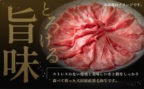 大田原産&nbsp;黒毛和牛&nbsp;リブロース&nbsp;すき焼き・しゃぶしゃぶ用　300g×2