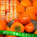 平核無柿（ひらたねなしがき）約２kg　化粧箱入　和歌山秋の味覚【2024年発送】【UT35】