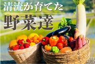 【味わいセット】高知の新鮮野菜セット