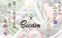 【味わいセット】高知の新鮮野菜セット