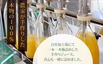 農家の手作り！果汁100%リンゴジュース（200ml×30本)｜ジュース 国産 農家直送 人気 おすすめ 飲料 フルーツ  朝食 健康 美容  ギフト 送料無料 長野県 大町市 ふるさと納税