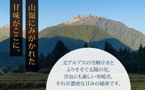 農家の手作り！果汁100%リンゴジュース（200ml×30本)｜ジュース 国産 農家直送 人気 おすすめ 飲料 フルーツ  朝食 健康 美容  ギフト 送料無料 長野県 大町市 ふるさと納税