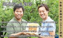 【農林水産大臣賞受賞】　紀州南高梅　はちみつ梅1.3kg （塩分約8％）