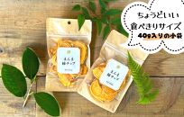 ドライフルーツ 柿チップ 400g ( 40g × 10袋 ) 和歌山県産 果物使用 自社製造 【みかんの会】