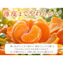 紀州有田産せとか約2.5kg　とろける食感！ジューシー柑橘［2027年2月上旬～2月下旬頃に順次発送］［先行予約］［UT02］