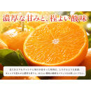 紀州有田産せとか約2.5kg　とろける食感！ジューシー柑橘［2027年2月上旬～2月下旬頃に順次発送］［先行予約］［UT02］