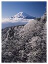 富士山写真大賞  額装写真「輝く凍樹　三つ峠より」(全紙  額装サイズ約530×640mm)