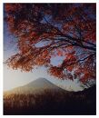 富士山写真大賞  額装写真「晩秋　精進湖にて」(全紙  額装サイズ約530×640mm)