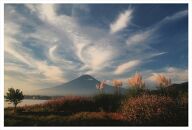 富士山写真大賞  額装写真「秋風に舞う　河口湖にて」(全紙  額装サイズ約530×640mm)